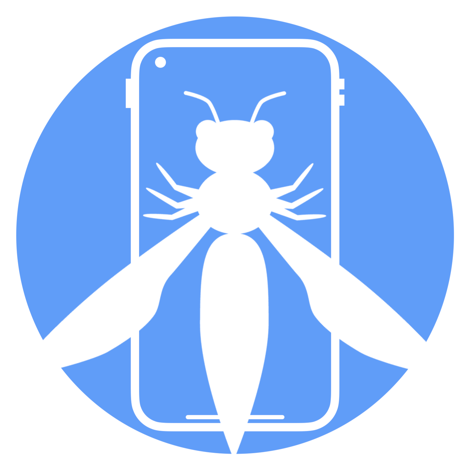 (OWASP MASVS)